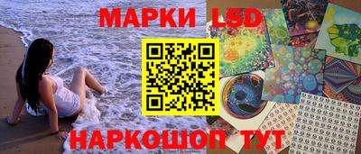 крисы Дубна