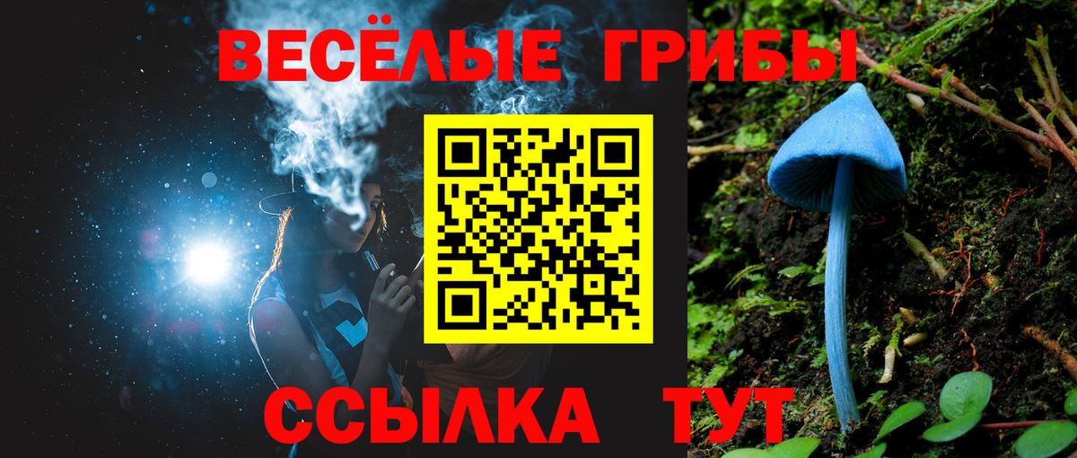 Галлюциногенные грибы GOLDEN TEACHER  Вход с VPN  Камень-на-Оби  Галлюциногенные грибы MAGIC MUSHROOMS 